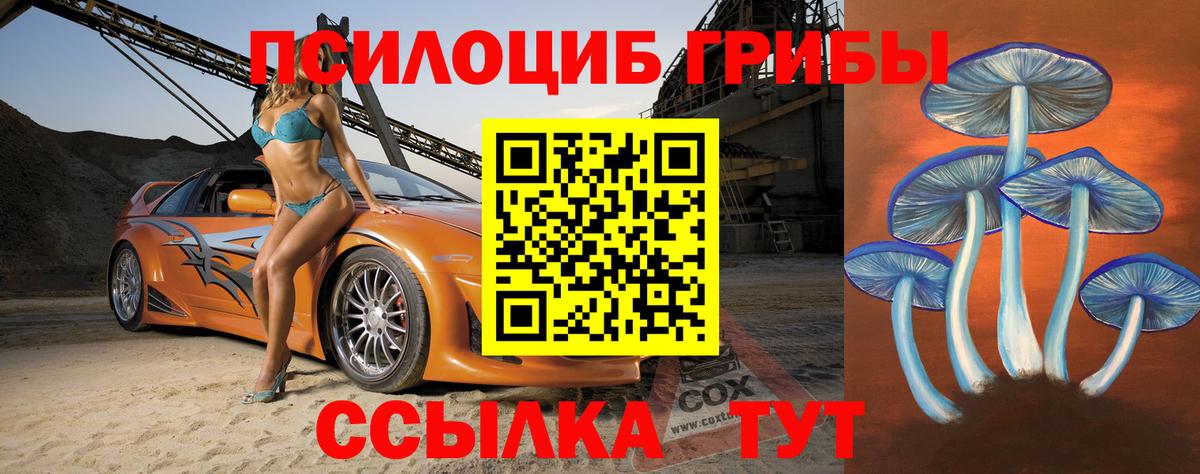 Псилоцибиновые грибы Psilocybe Нерюнгри