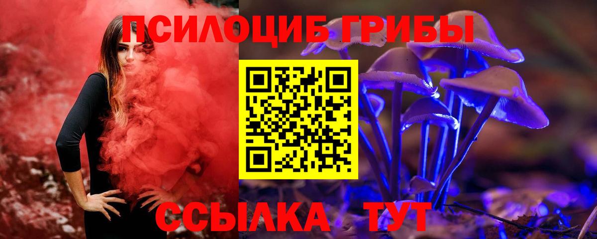 Псилоцибиновые грибы Psilocybe  Вход с VPN  Нерюнгри 
